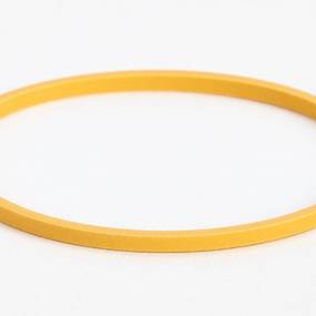 Ring (381485R1) Case