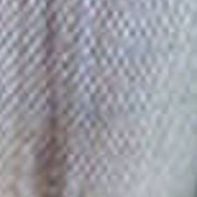 Luftfilter (Af25548) Case