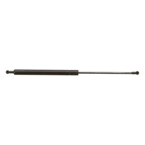 Gasdruckfeder (F44881) Case Gasdruckfeder (F44881) Case