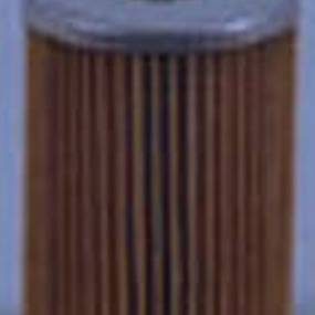 Kraftstofffilter (Ff5029) Case