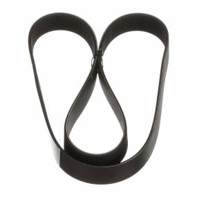 Riemen Case