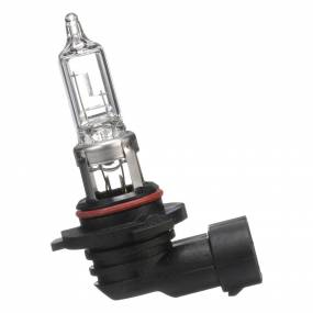Glühlampe Case