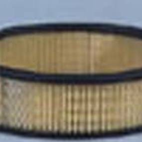 Luftfilter (Af4594) Case