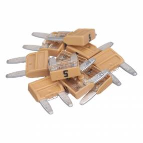 Sicherung Case