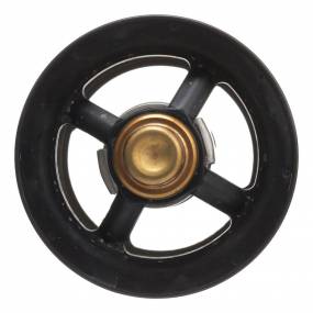 Thermostat Case