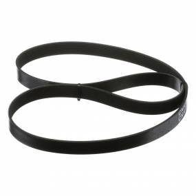 Riemen (J911567) Case