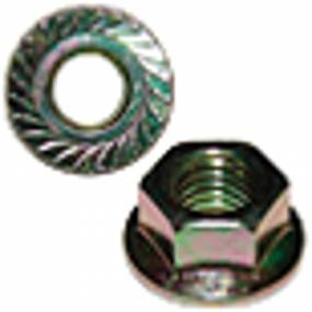 Mutter Case 80043416