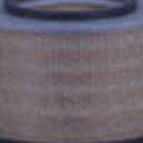 Luftfilter (Af4587) Case