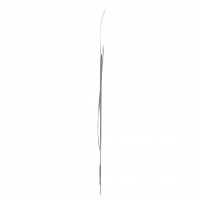 Dichtung, Flach (J755843) Case