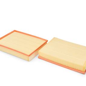 Luftfilter (Af26375) Case