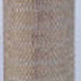 Luftfilter (Af4992) Case