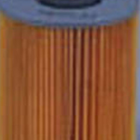 Kraftstofffilter (Ff5070) Case