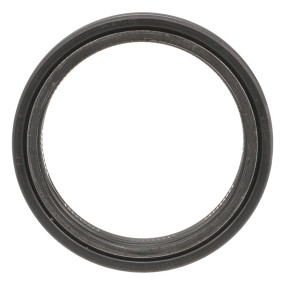 Dichtung Case