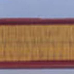 Luftfilter (Af1774) Case