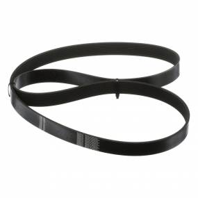 Riemen (J911567) Case