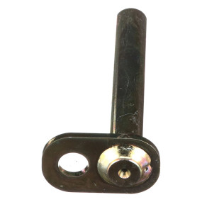 Bolzen (47429828) Case