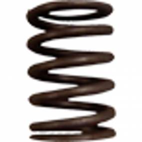 Feder Case 3055060R1