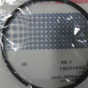 Dichtungshalter Case 384103R1