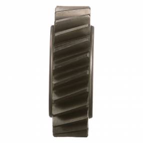 Zahnrad Case Zahnrad Case