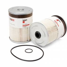 Kraftstofffilter (Fs19915) Case