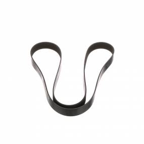 Riemen Case 47467859