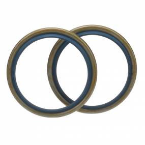 Dichtung Case