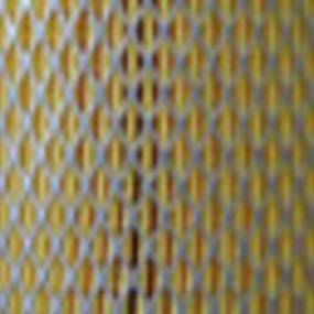 Luftfilter (Af25399) Case