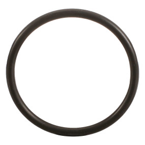 O-Ring (6139) Case