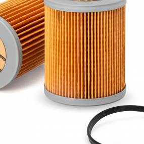 Kraftstofffilter (Ff5364) Case
