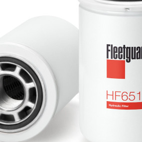 Hydraulikölfilter (Hf6517) Case
