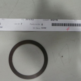 Unterlegscheibe Case 612778