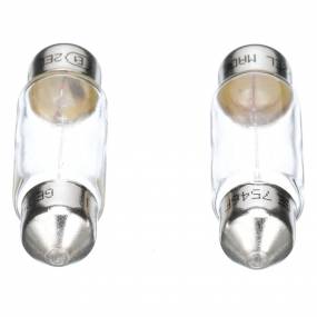 Glühlampe Case
