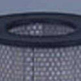 Luftfilter (Af4872) Case