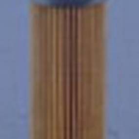 Kraftstofffilter (Ff5259) Case