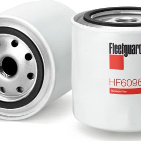 Hydraulikölfilter (Hf6096) Case
