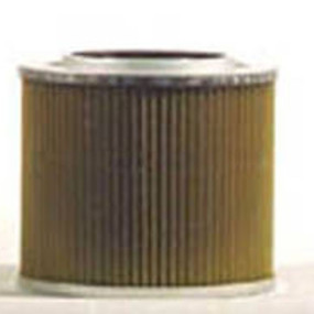 Hydraulikölfilter (Hf28925) Case