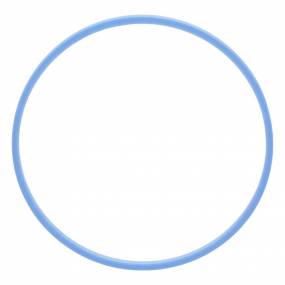 Dichtring Case
