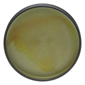Tasse Case Tasse Case