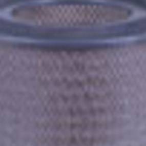 Luftfilter (Af1633) Case