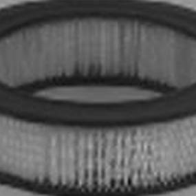 Luftfilter (Af311) Case