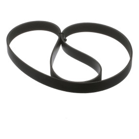 Riemen (J911562) Case