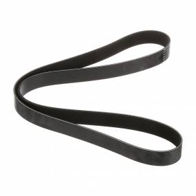 Riemen Case