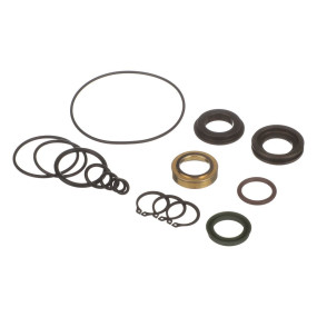 Dichtungssatz (5284) Case