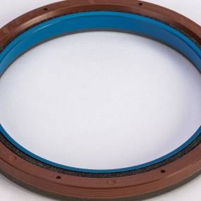 Dichtung (5801702899) Case