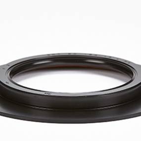 Dichtung Case SBA198636170