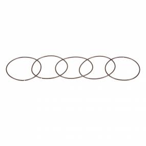 O-Ring Case