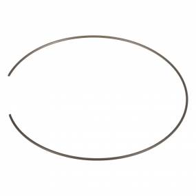 Sicherungsring Case
