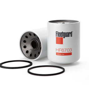 Hydraulikölfilter (Hf6703) Case