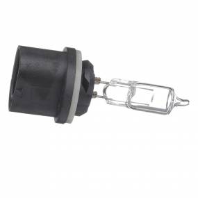 Glühlampe Case