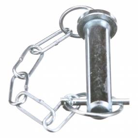 Bolzen Case